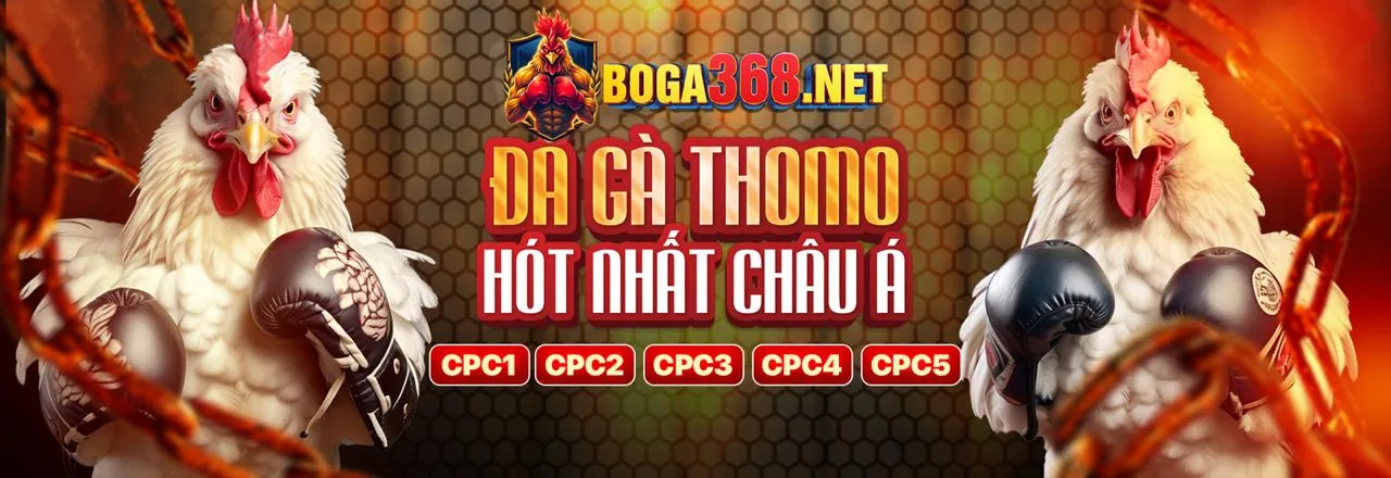 Hình ảnh chính mm888 code